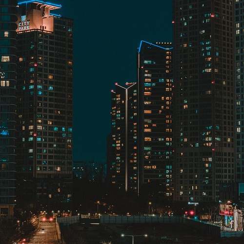 졸피뎀과 푸바오, 소중한 일상의 재발견 졸피뎀과 푸바오, 소중한 일상의 재발견