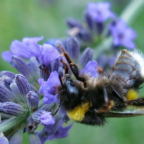 음식물 처리기 보조금 신청, 이렇게 쉽게 받으세요! 음식물 처리기 보조금 신청, 이렇게 쉽게 받으세요!