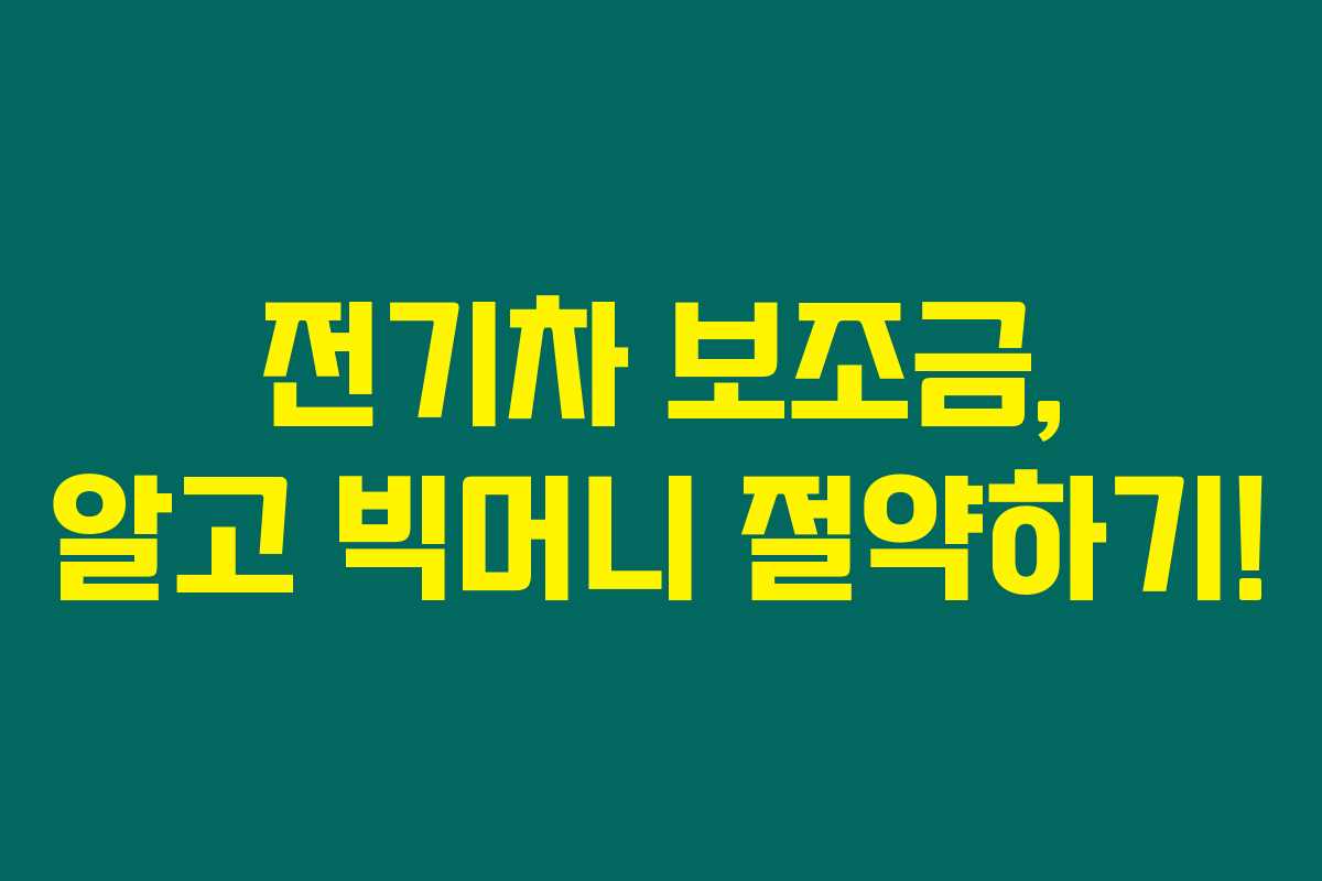 전기차 보조금, 알고 빅머니 절약하기! 전기차 보조금, 알고 빅머니 절약하기!