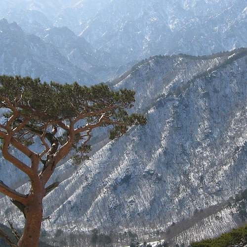 울산광역시 개인택시 시세와 양수교육의 모든 것 울산광역시 개인택시 시세와 양수교육의 모든 것