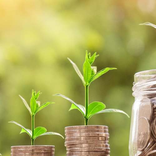 민생회복지원금으로 술과 담배 구입, 경계선의 진실을 파헤쳐보세요 민생회복지원금으로 술과 담배 구입, 경계선의 진실을 파헤쳐보세요