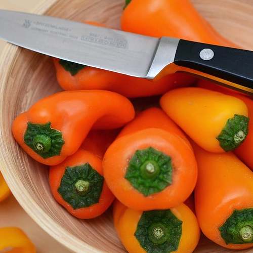 시민이 만든 ‘싱크홀 지도’: 안전한 미래를 위한 첫 걸음