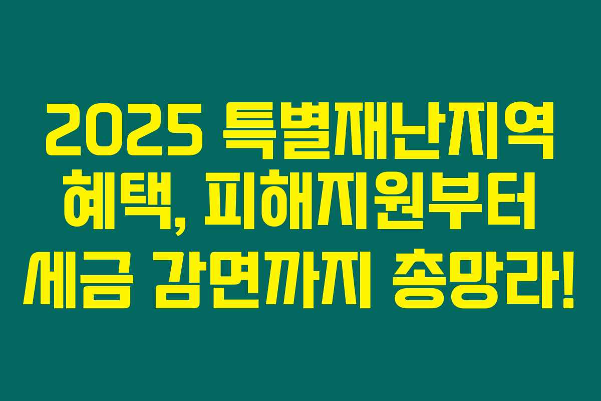 2025 특별재난지역 혜택, 피해지원부터 세금 감면까지 총망라! 2025 특별재난지역 혜택, 피해지원부터 세금 감면까지 총망라!