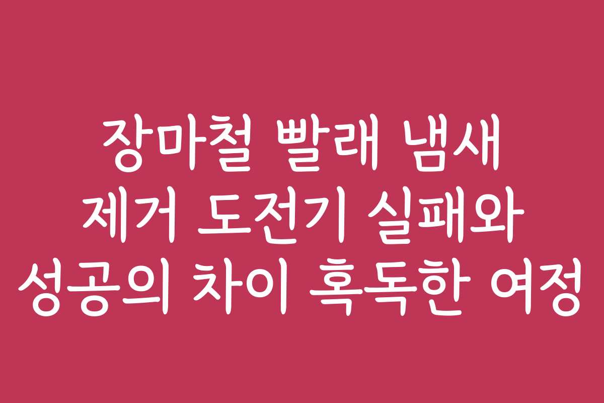 장마철 빨래 냄새 제거 도전기 실패와 성공의 차이 혹독한 여정