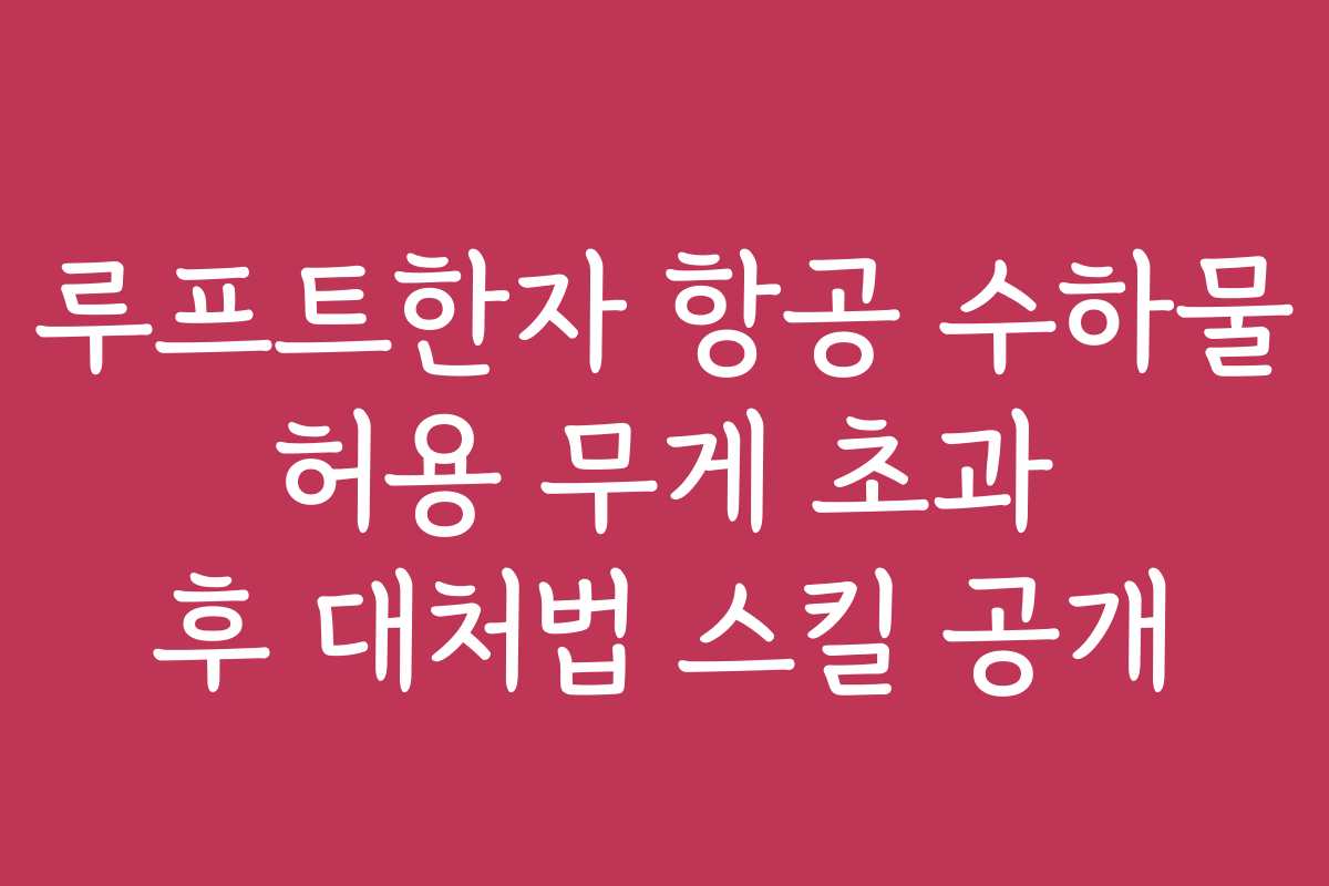 루프트한자 항공 수하물 허용 무게 초과 후 대처법 스킬 공개