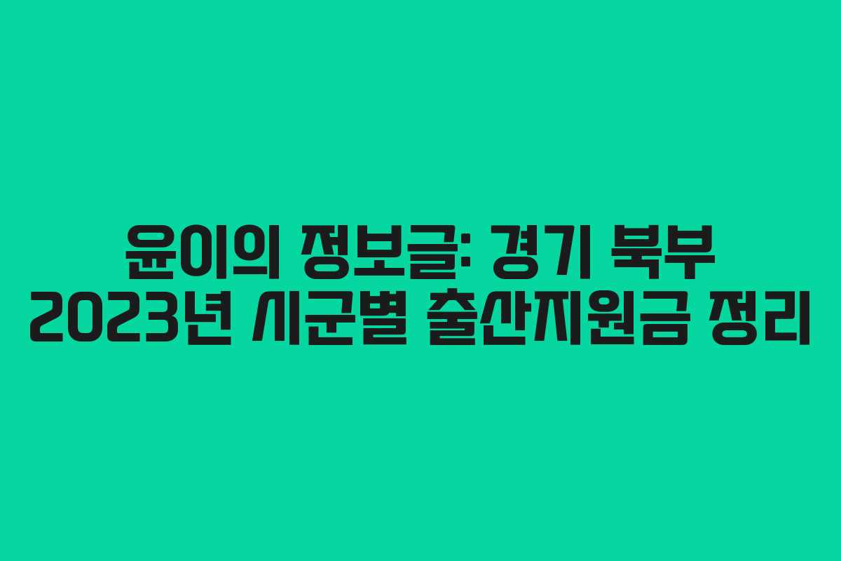 윤이의 정보글: 경기 북부 2023년 시군별 출산지원금 정리