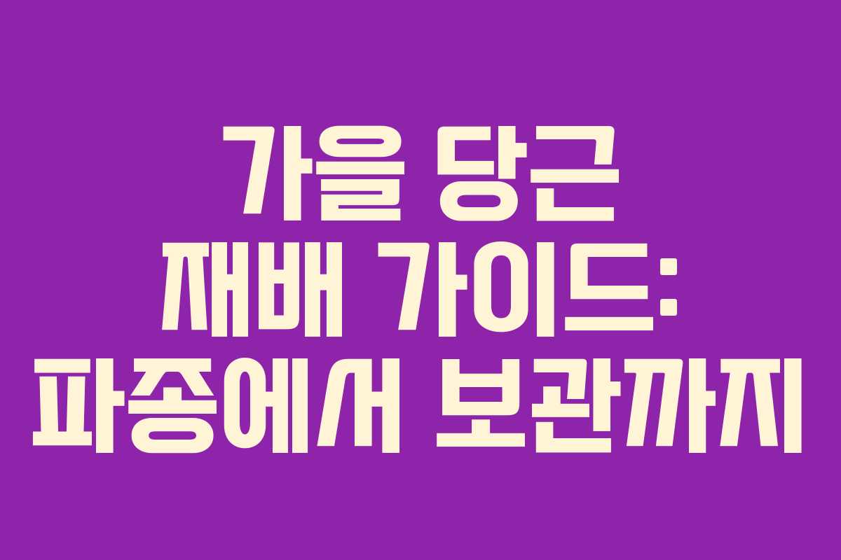 가을 당근 재배 가이드: 파종에서 보관까지