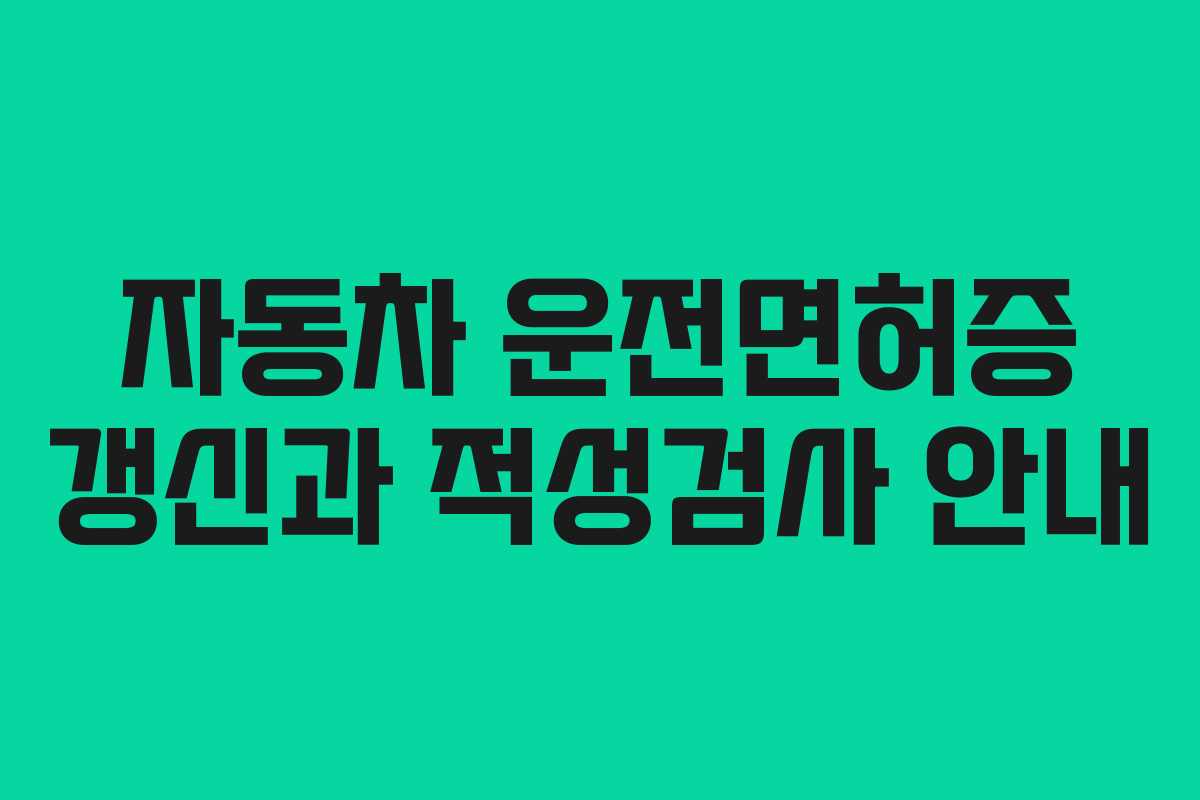 자동차 운전면허증 갱신과 적성검사 안내 자동차 운전면허증 갱신과 적성검사 안내