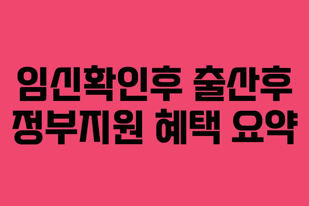 임신확인후 출산후 정부지원 혜택 요약
