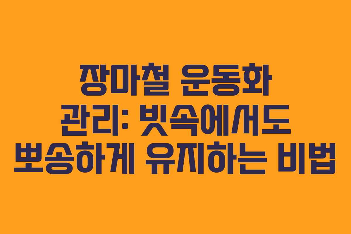 장마철 운동화 관리: 빗속에서도 뽀송하게 유지하는 비법 장마철 운동화 관리: 빗속에서도 뽀송하게 유지하는 비법