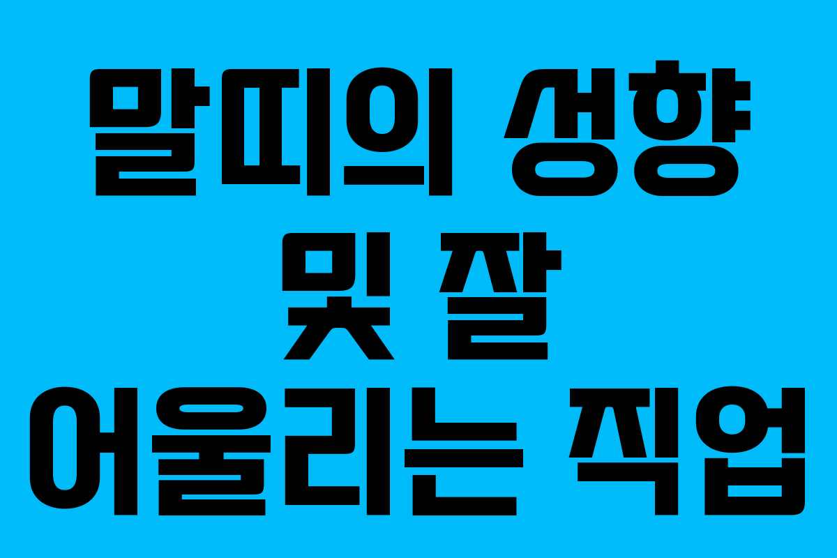 말띠의 성향 및 잘 어울리는 직업