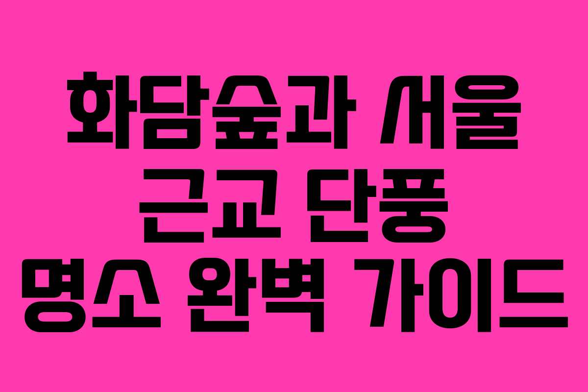 화담숲과 서울 근교 단풍 명소 완벽 가이드