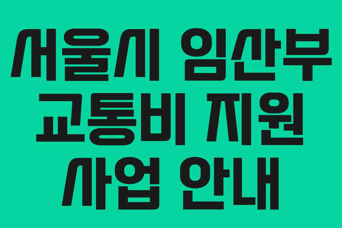 서울시 임산부 교통비 지원 사업 안내 서울시 임산부 교통비 지원 사업 안내