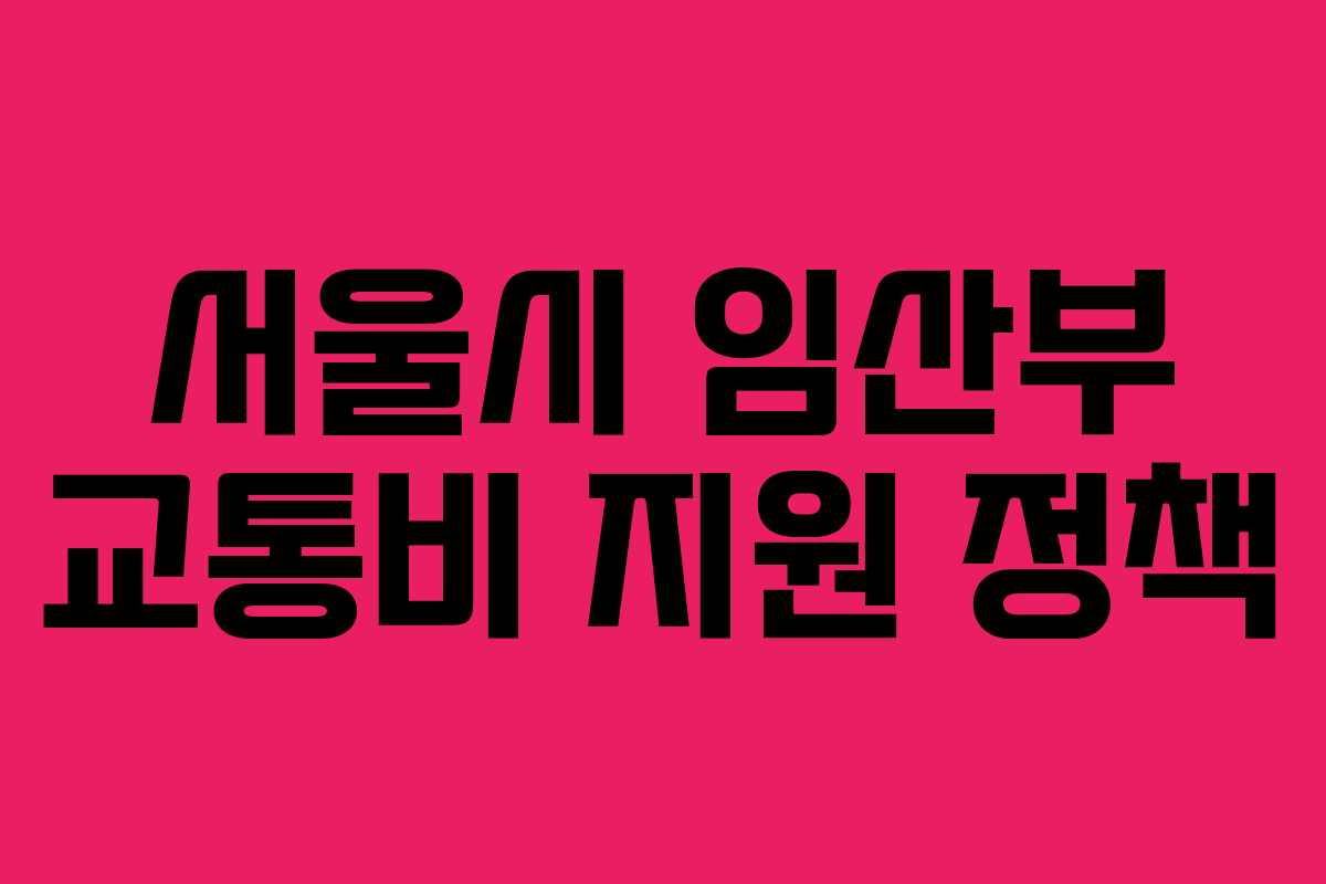 서울시 임산부 교통비 지원 정책