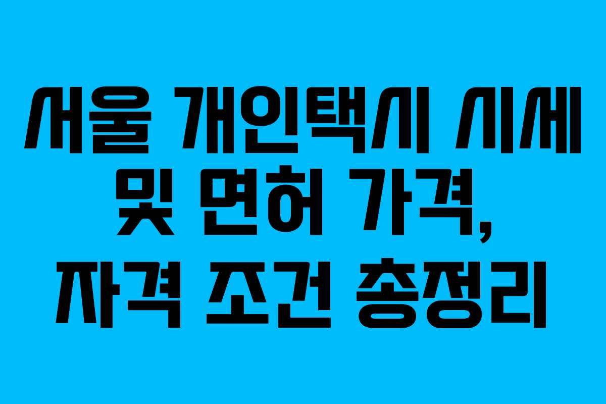 서울 개인택시 시세 및 면허 가격, 자격 조건 총정리