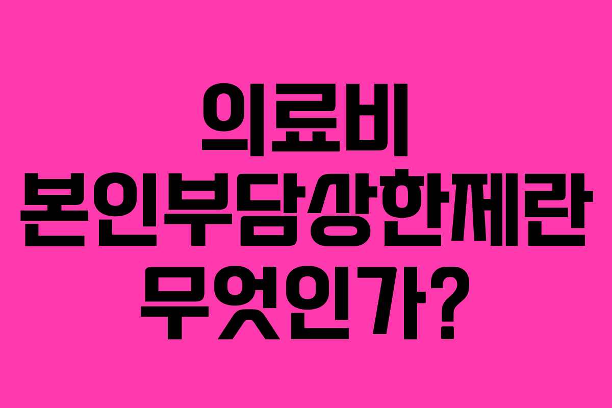 의료비 본인부담상한제란 무엇인가? 의료비 본인부담상한제란 무엇인가?