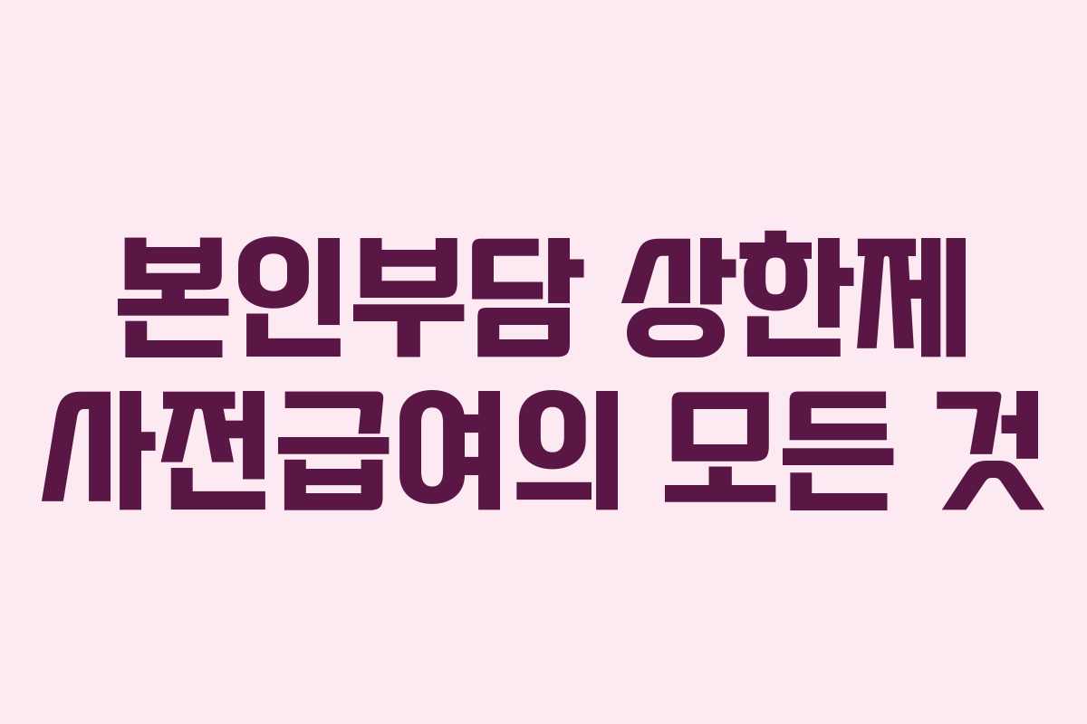 본인부담 상한제 사전급여의 모든 것