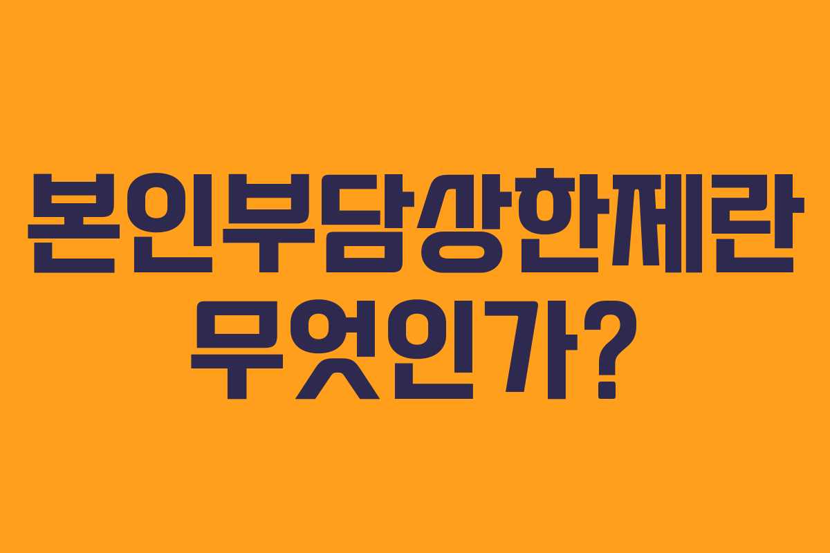 본인부담상한제란 무엇인가?