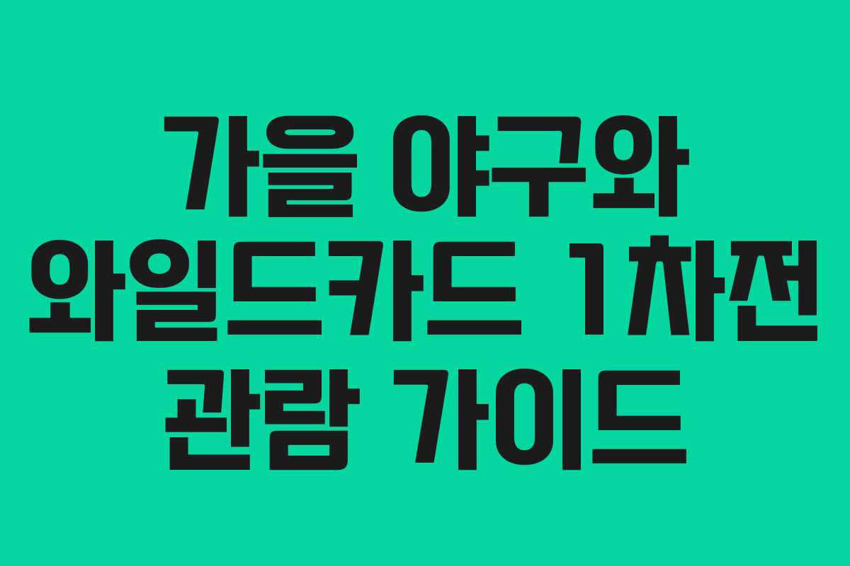 가을 야구와 와일드카드 1차전 관람 가이드