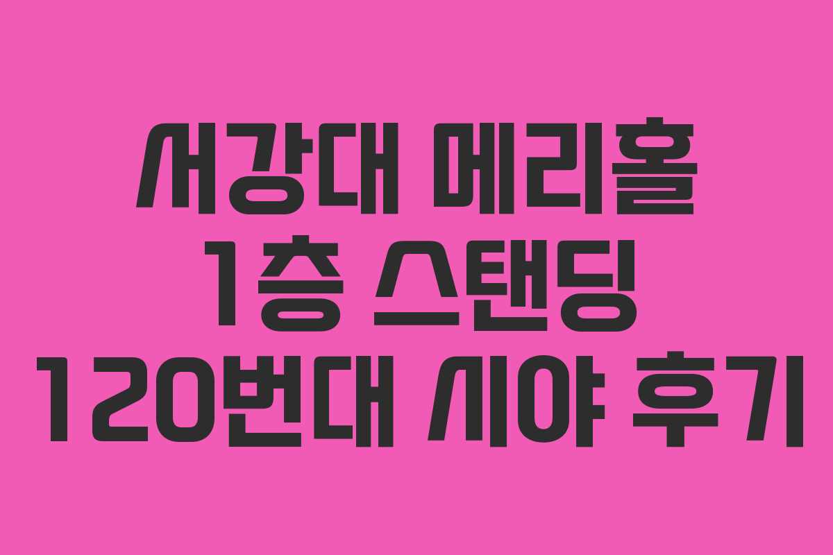 서강대 메리홀 1층 스탠딩 120번대 시야 후기 서강대 메리홀 1층 스탠딩 120번대 시야 후기