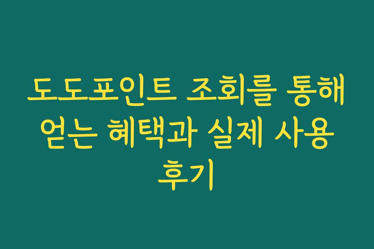 도도포인트 조회를 통해 얻는 혜택과 실제 사용 후기