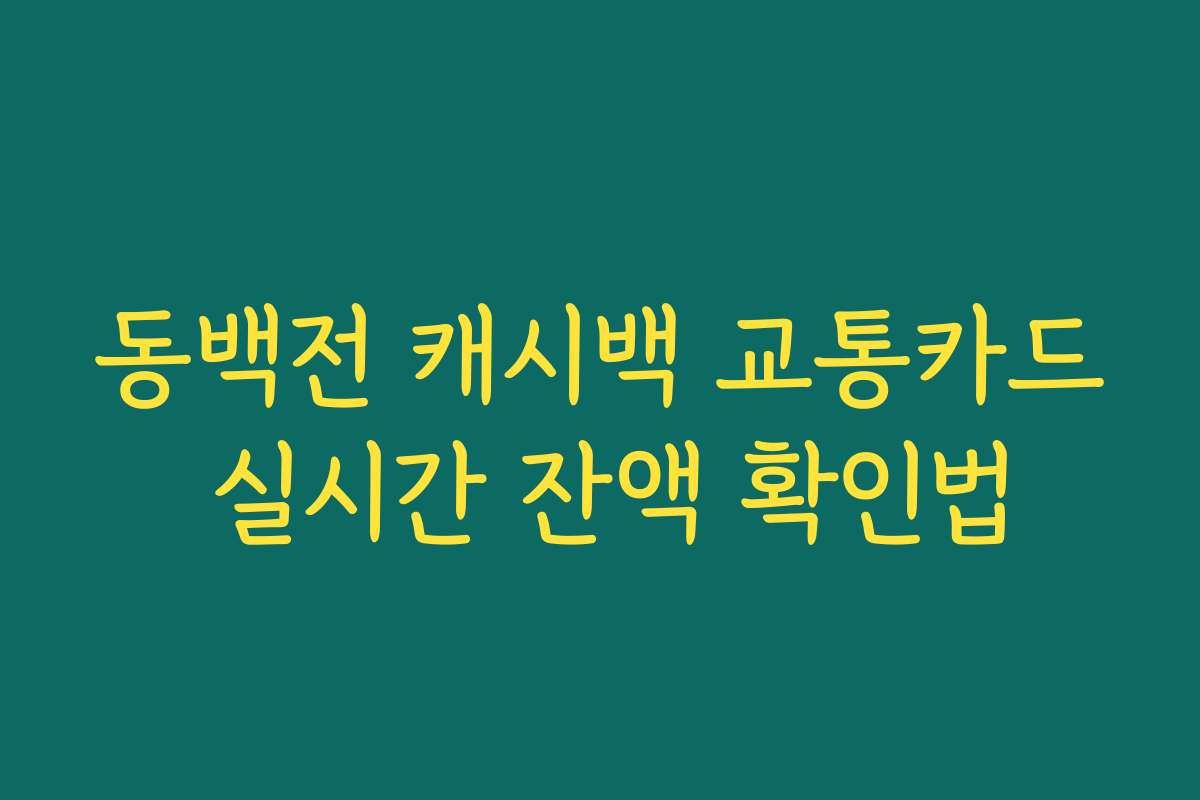 동백전 캐시백 교통카드 실시간 잔액 확인법