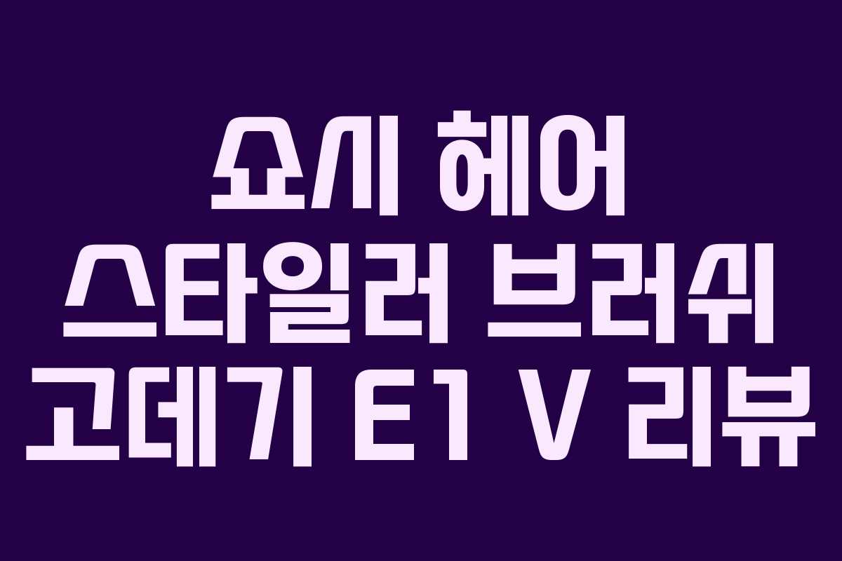 쇼시 헤어 스타일러 브러쉬 고데기 E1 V 리뷰