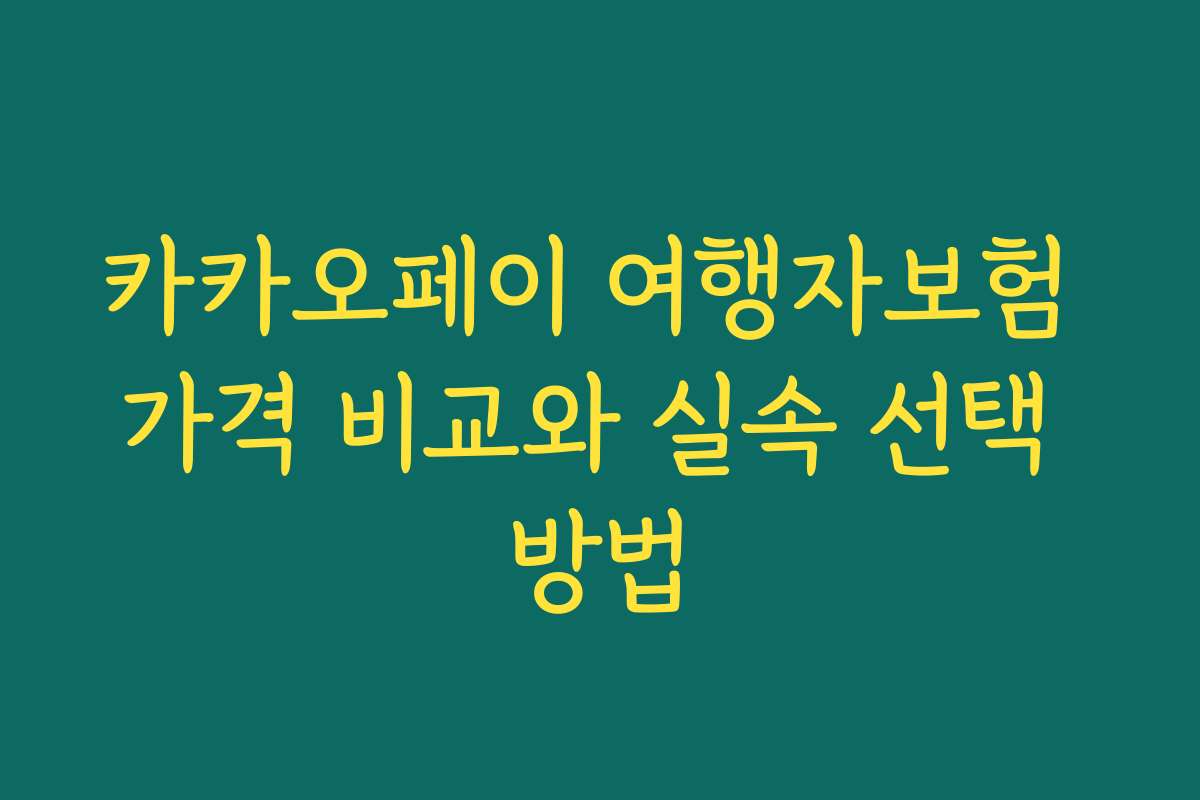 카카오페이 여행자보험 가격 비교와 실속 선택 방법