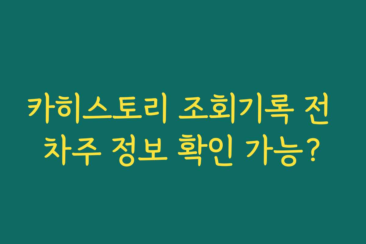 카히스토리 조회기록 전 차주 정보 확인 가능?