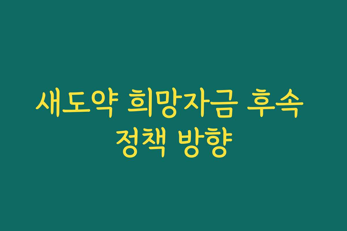 새도약 희망자금 후속 정책 방향