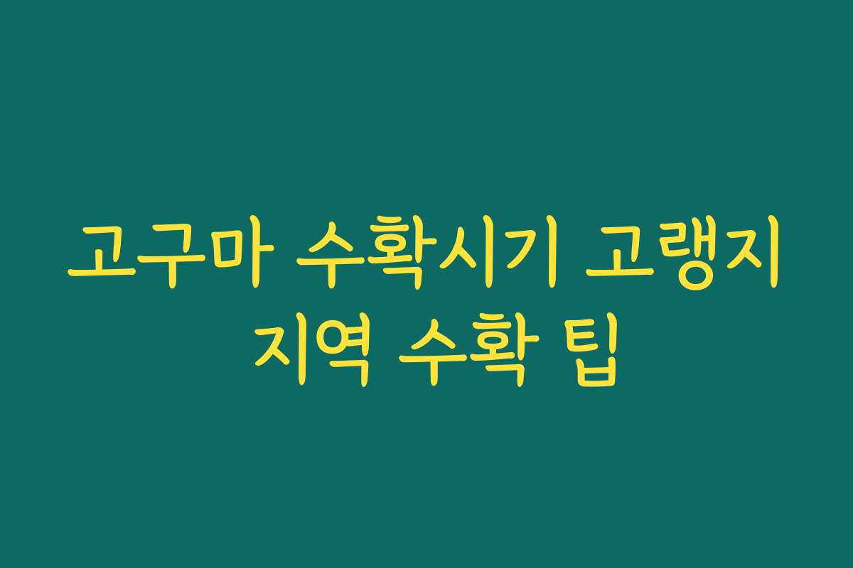 고구마 수확시기 고랭지 지역 수확 팁