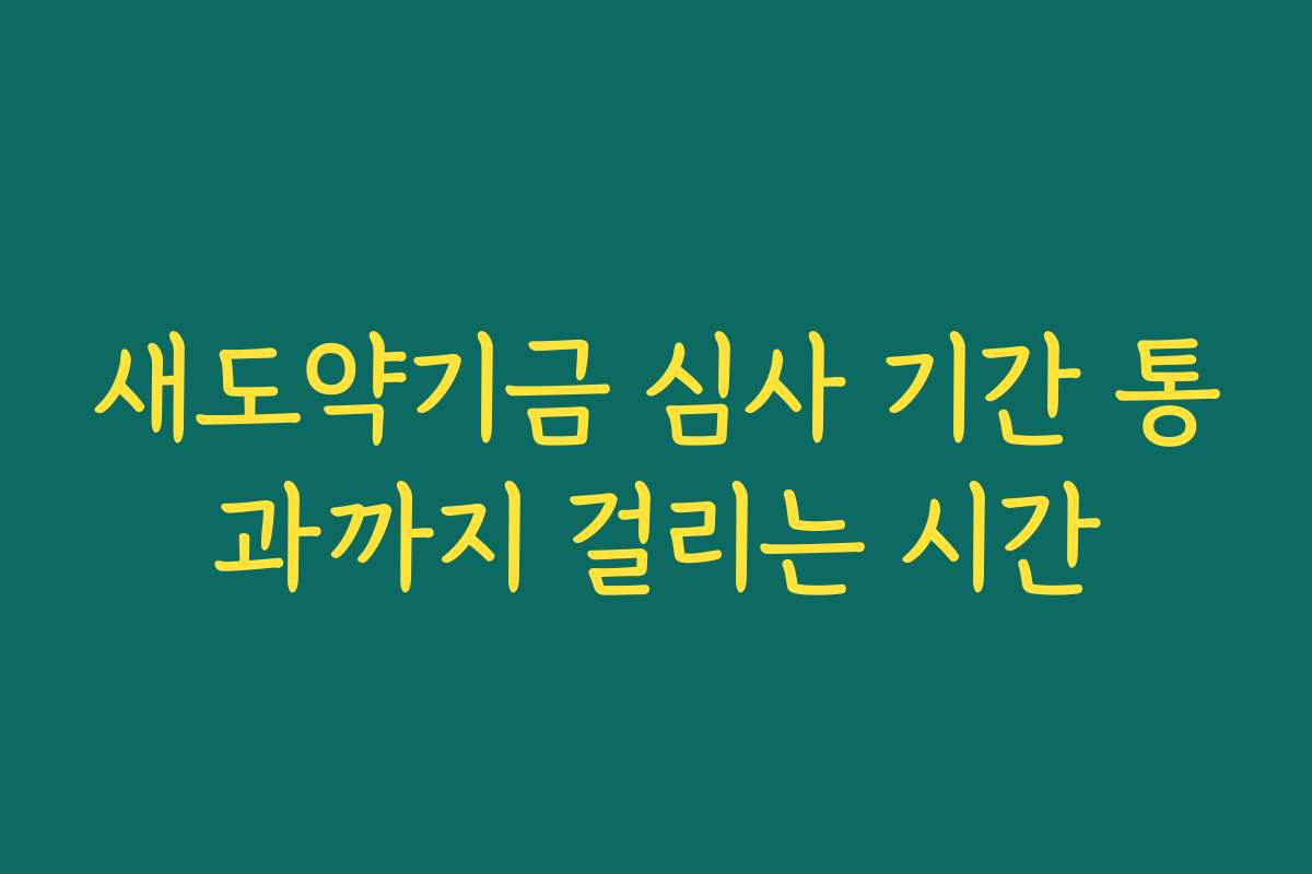 새도약기금 심사 기간 통과까지 걸리는 시간