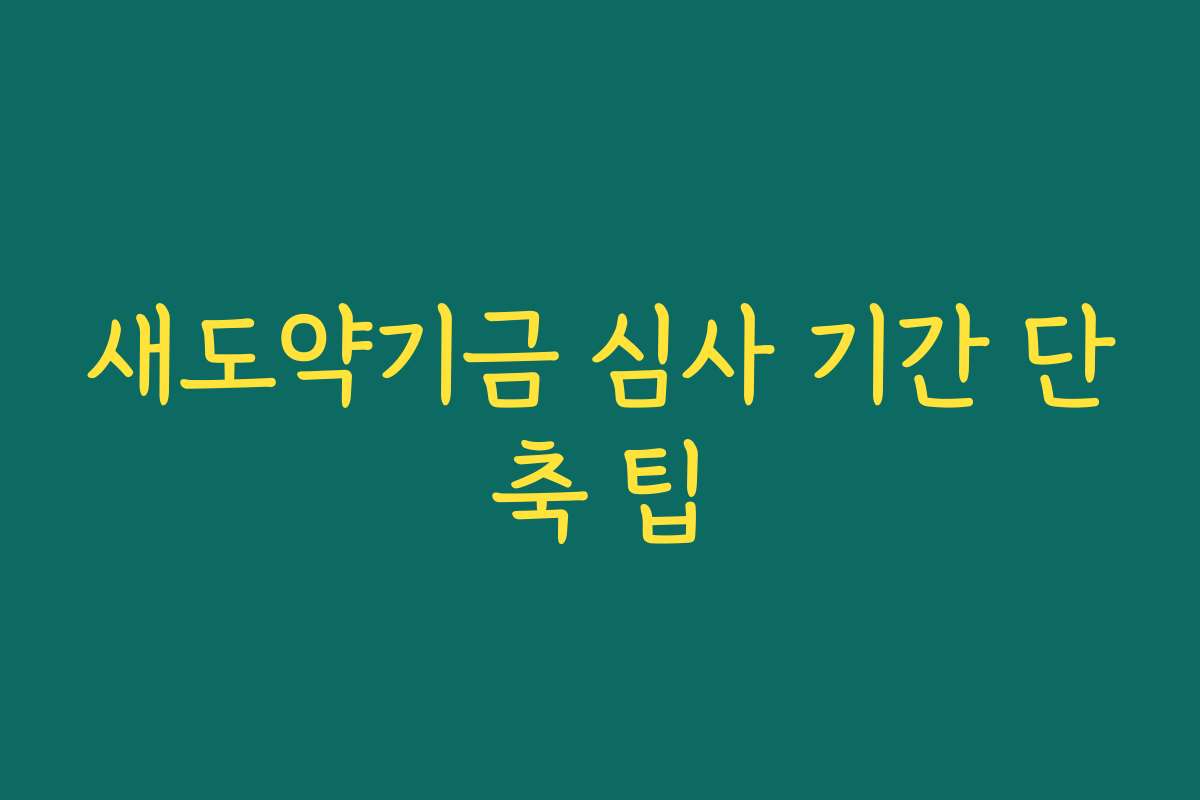 새도약기금 심사 기간 단축 팁 새도약기금 심사 기간 단축 팁