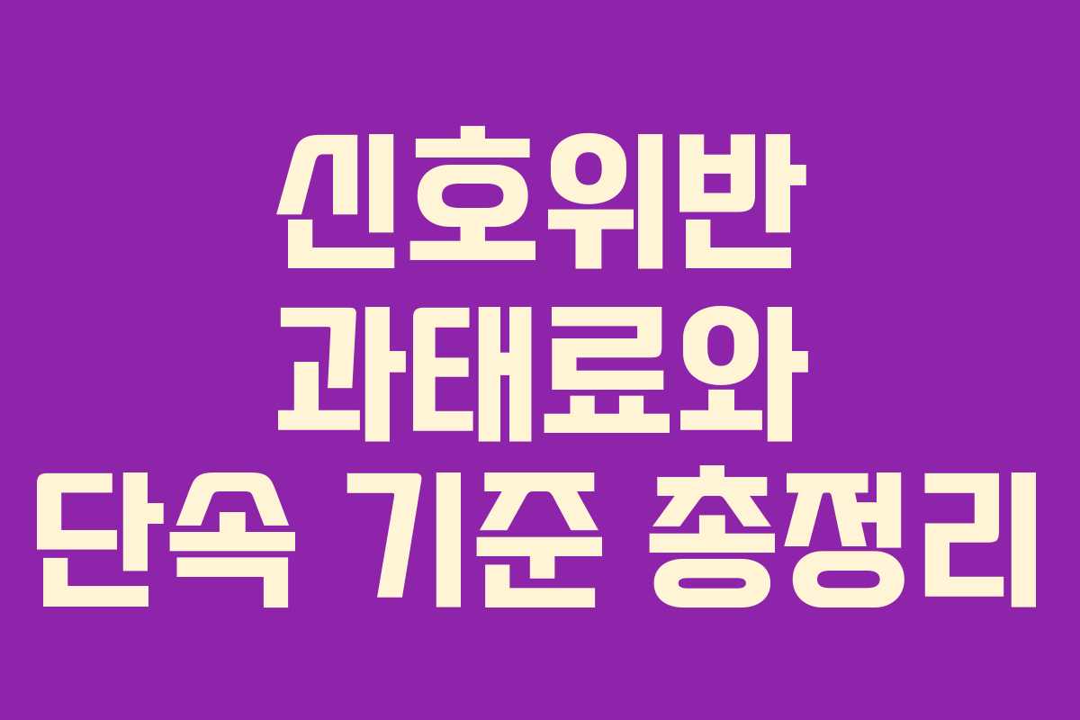 신호위반 과태료와 단속 기준 총정리
