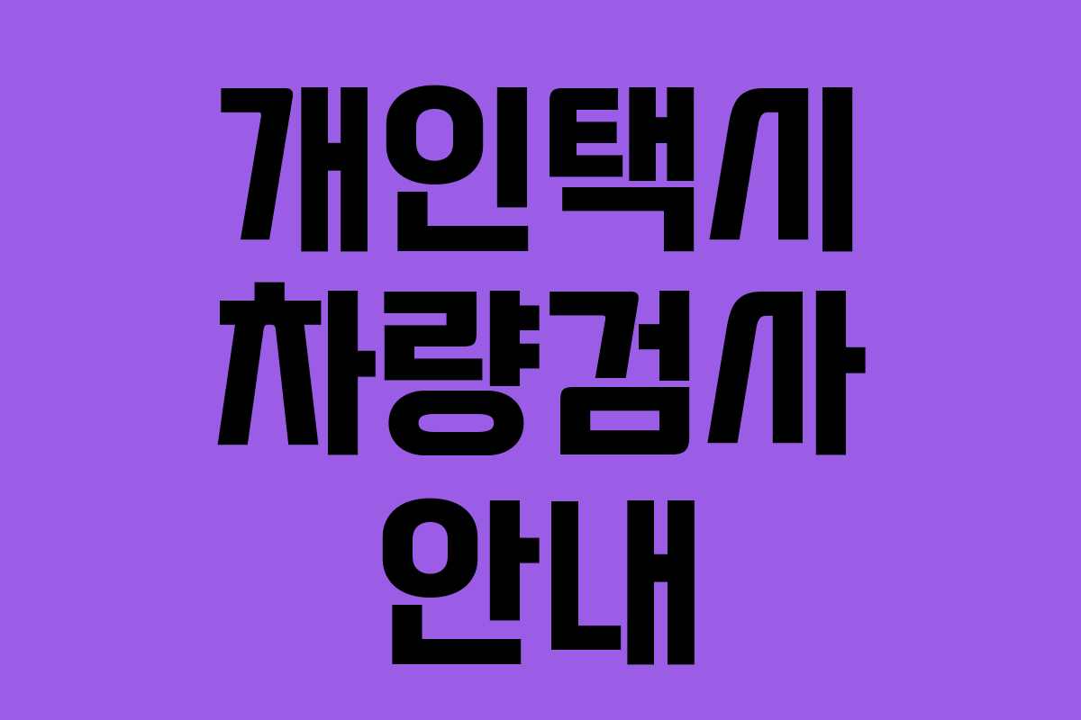 개인택시 차량검사 안내