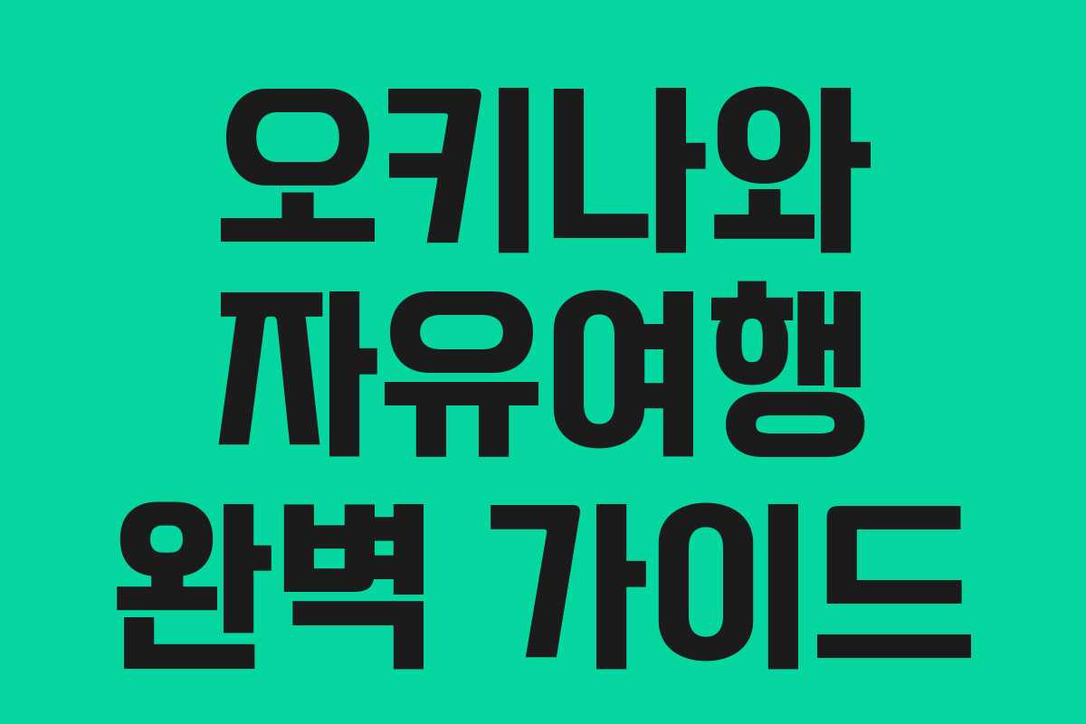 오키나와 자유여행 완벽 가이드 오키나와 자유여행 완벽 가이드