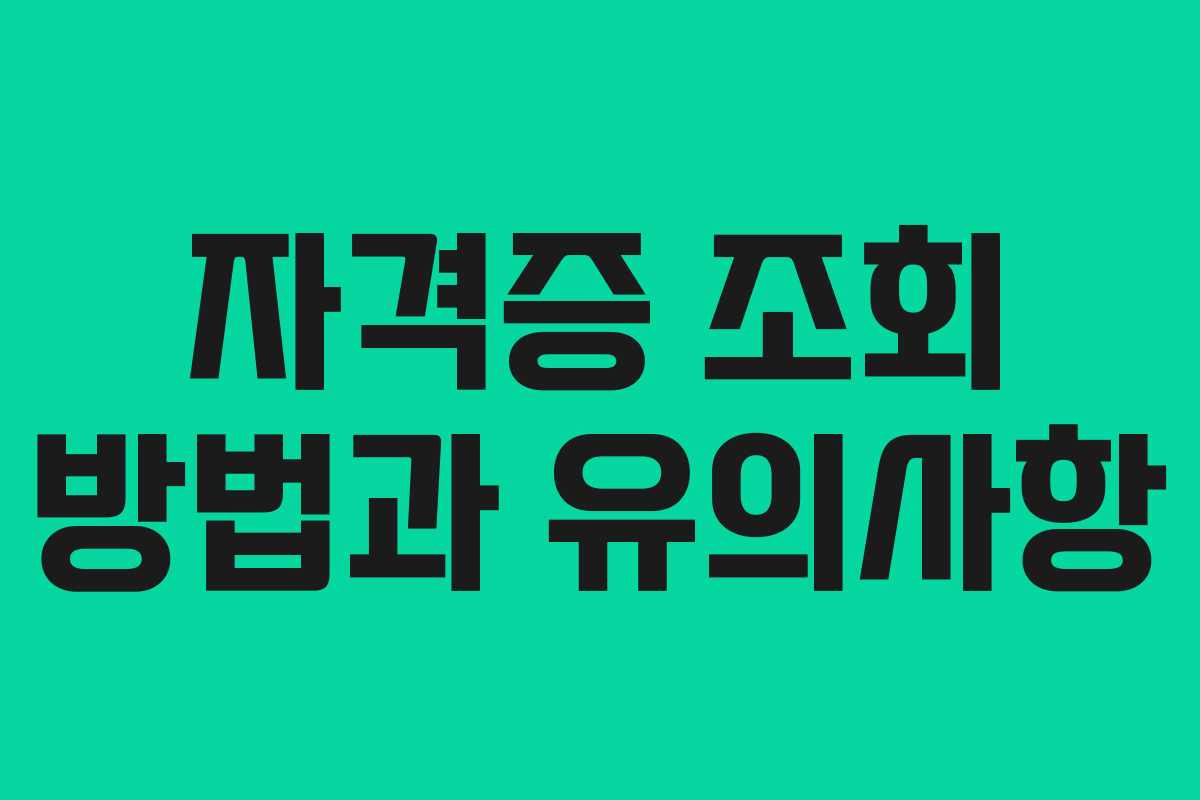 자격증 조회 방법과 유의사항