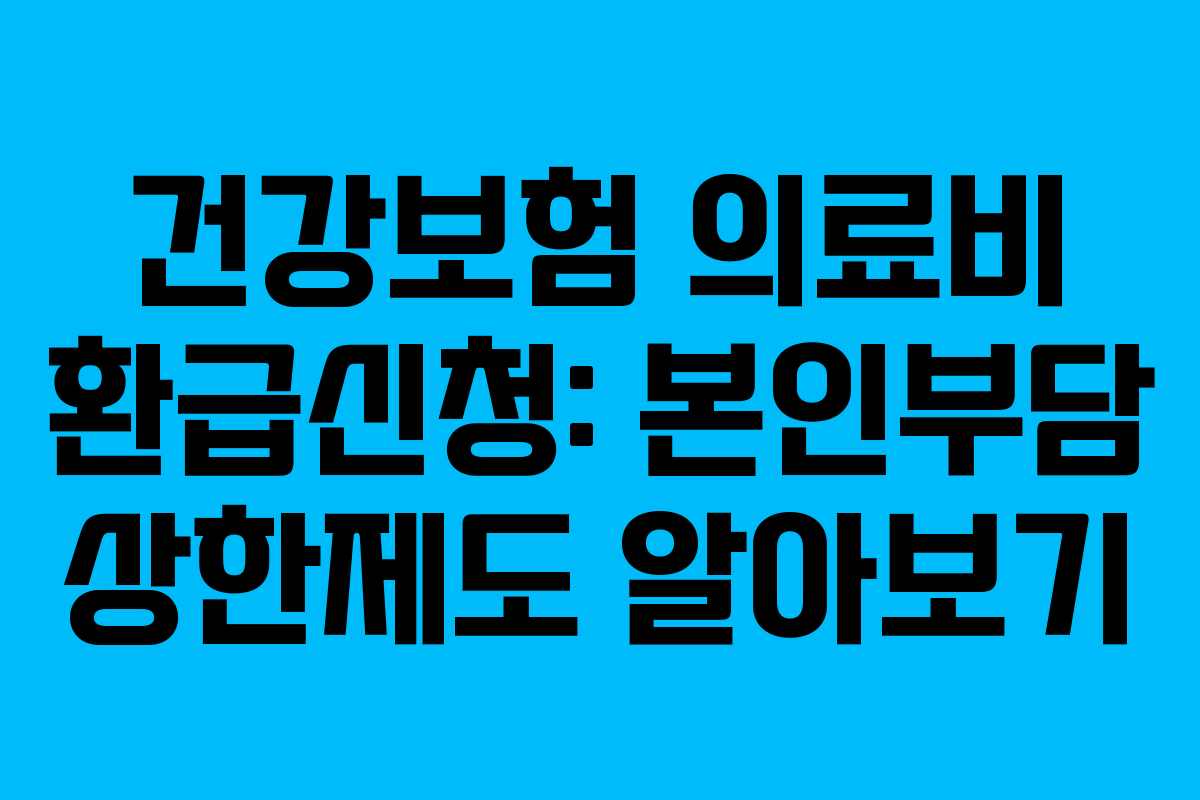 건강보험 의료비 환급신청: 본인부담 상한제도 알아보기