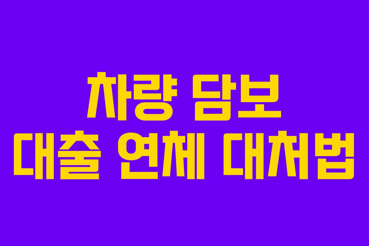 차량 담보 대출 연체 대처법 차량 담보 대출 연체 대처법