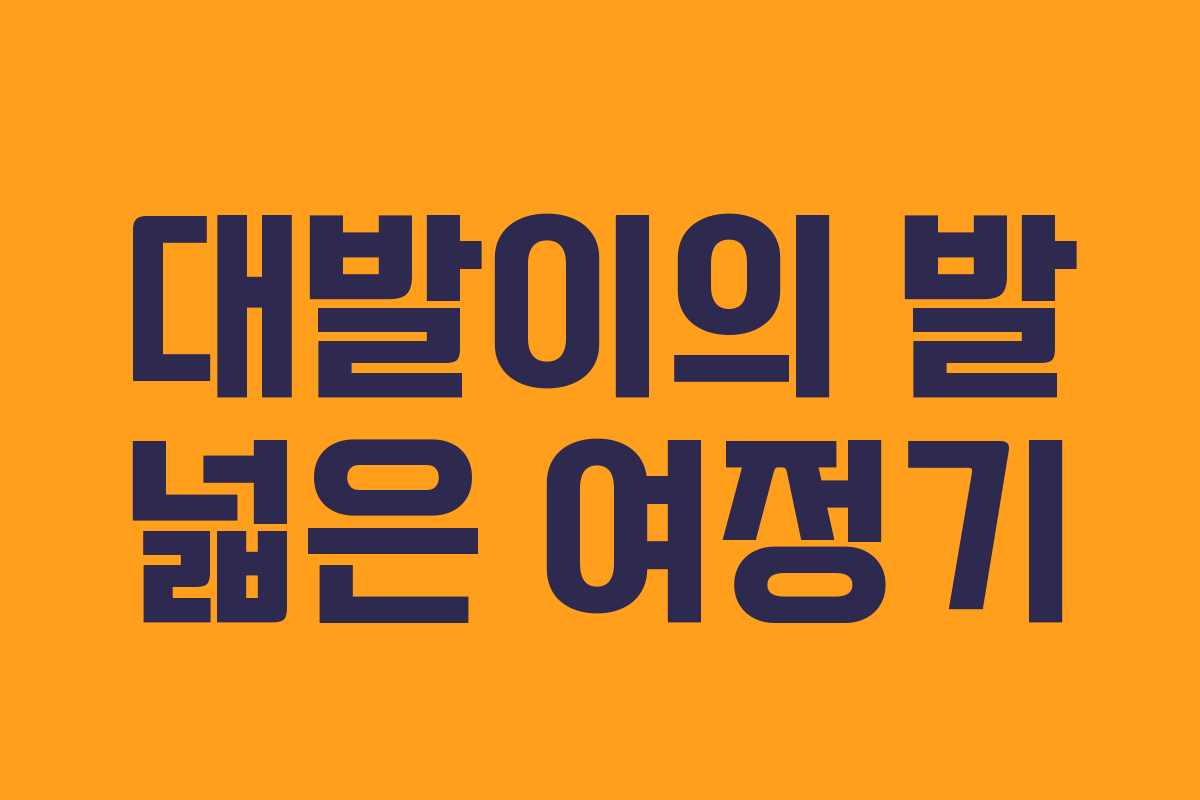 대발이의 발 넓은 여정기