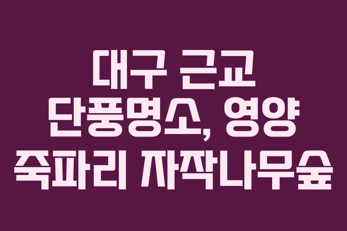 대구 근교 단풍명소, 영양 죽파리 자작나무숲