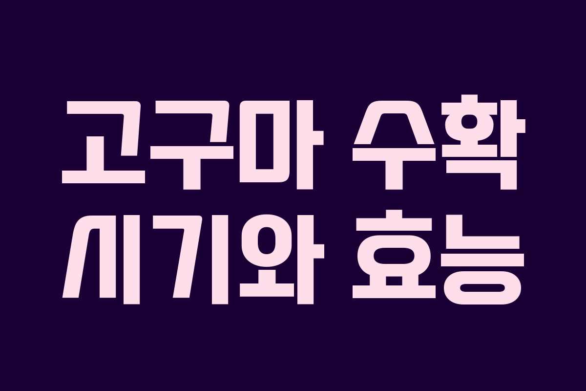 고구마 수확 시기와 효능