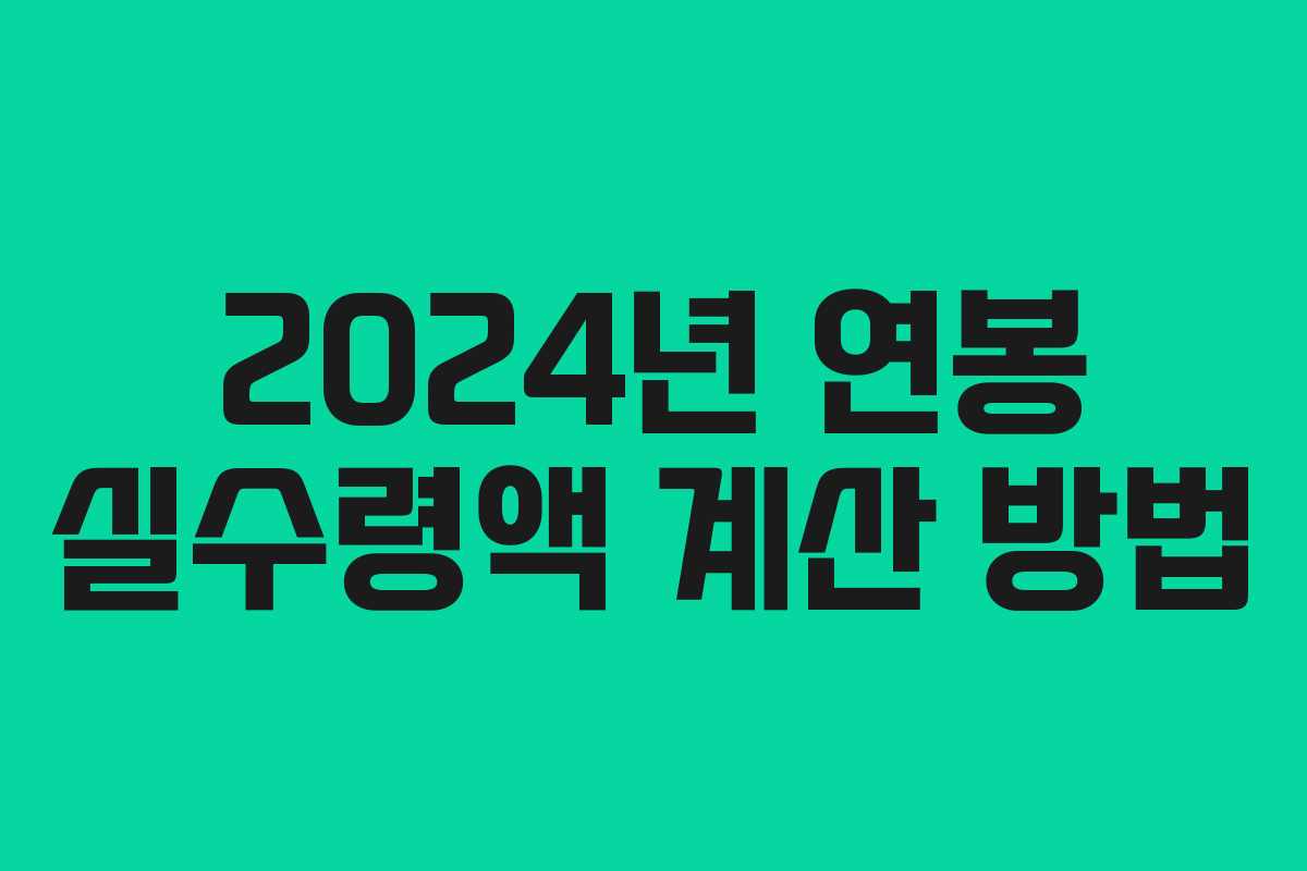 2024년 연봉 실수령액 계산 방법