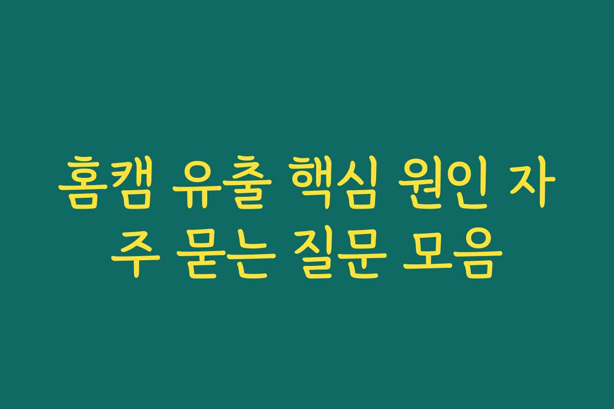 홈캠 유출 핵심 원인 자주 묻는 질문 모음