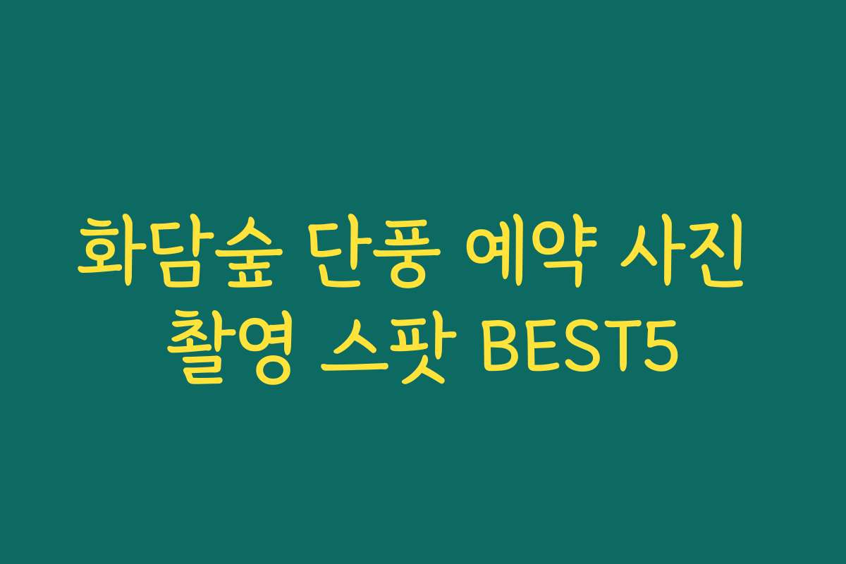 화담숲 단풍 예약 사진 촬영 스팟 BEST5 화담숲 단풍 예약 사진 촬영 스팟 BEST5