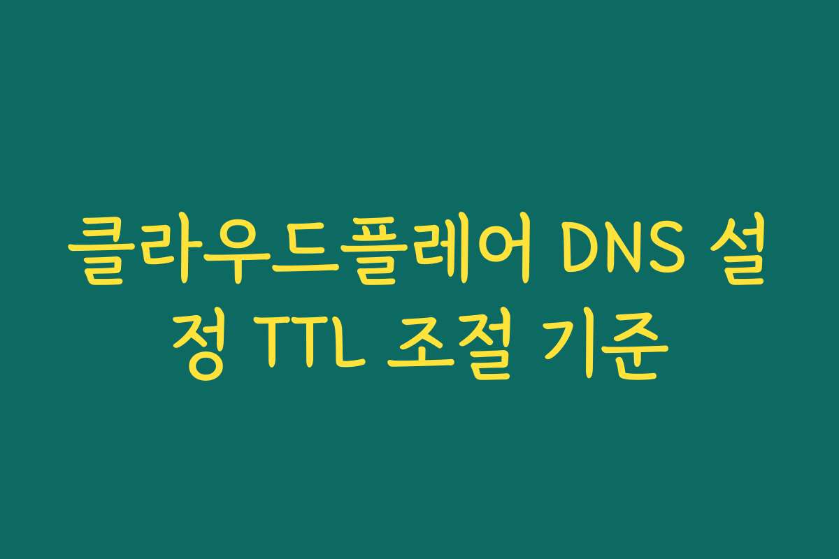 클라우드플레어 DNS 설정 TTL 조절 기준