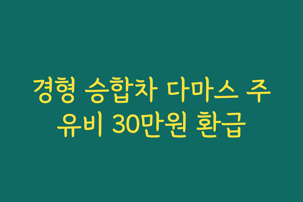 경형 승합차 다마스 주유비 30만원 환급