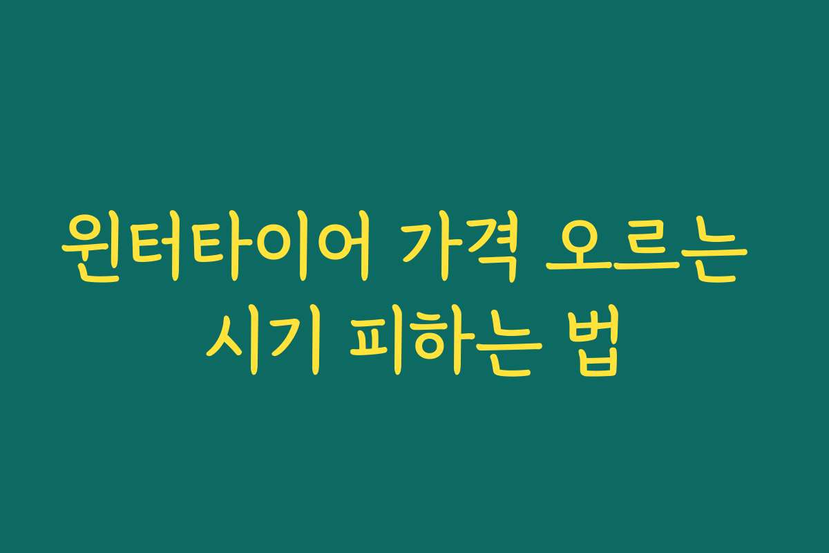 윈터타이어 가격 오르는 시기 피하는 법