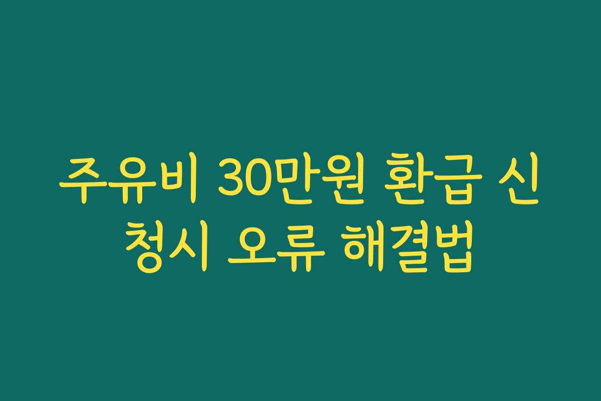 주유비 30만원 환급 신청시 오류 해결법