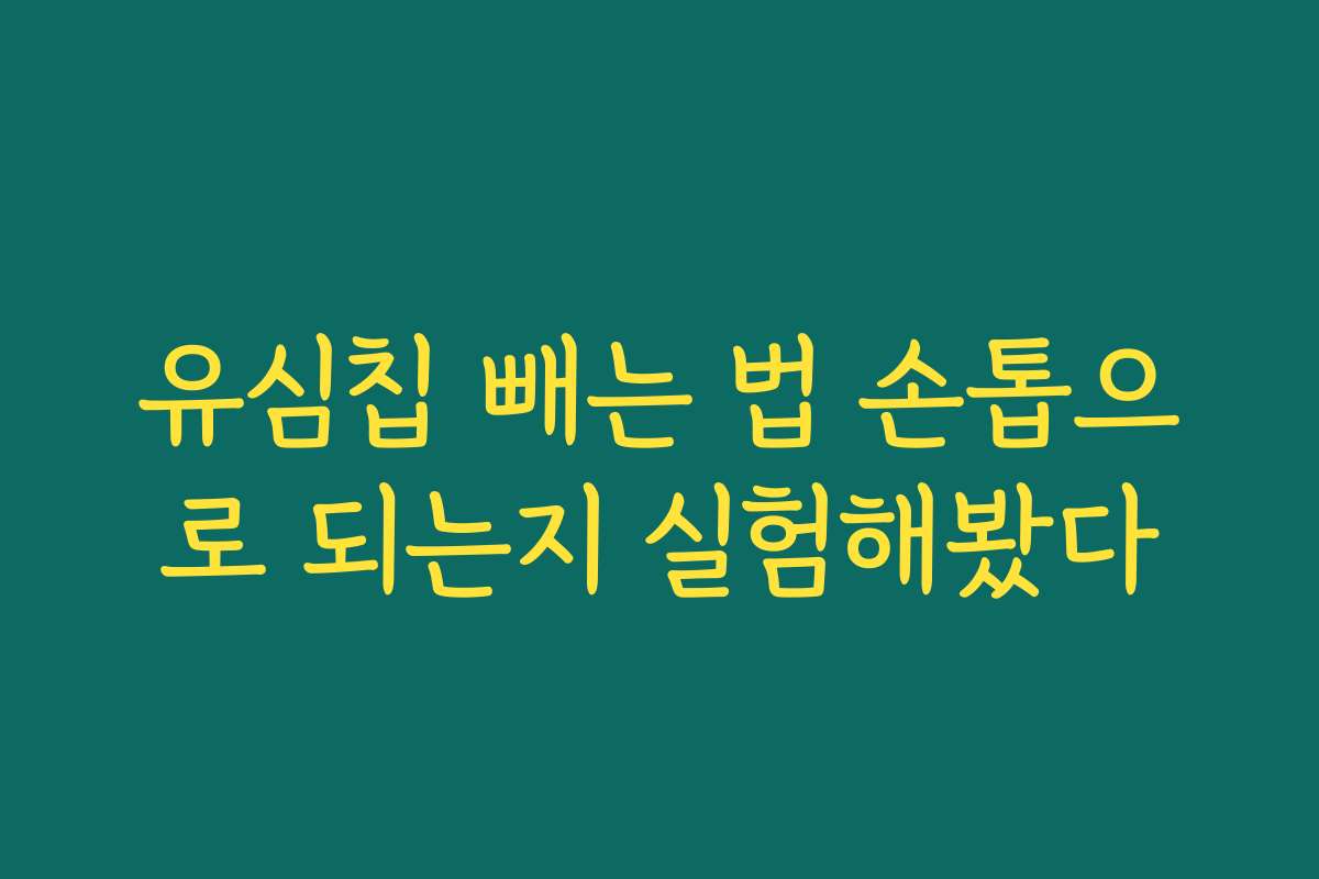 유심칩 빼는 법 손톱으로 되는지 실험해봤다